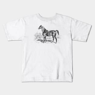 Pure Breed Horse Illustration Kids T-Shirt